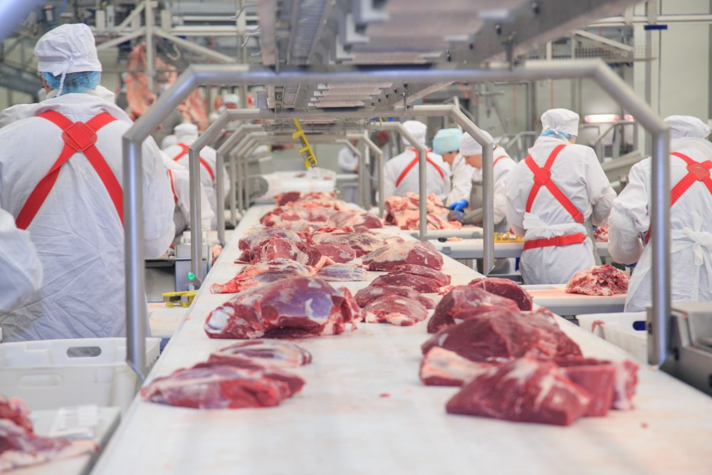 Производство мяса в Казахстане увеличилось на 7,3%
