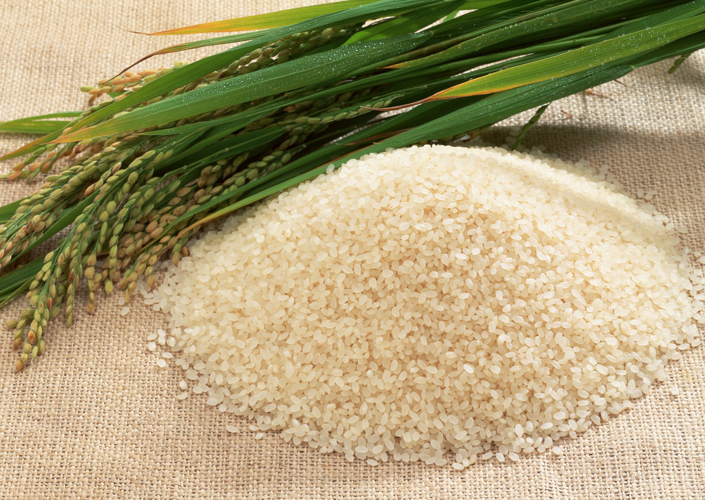 Экспорт казахстанского риса в Азербайджан бьёт новые рекорды