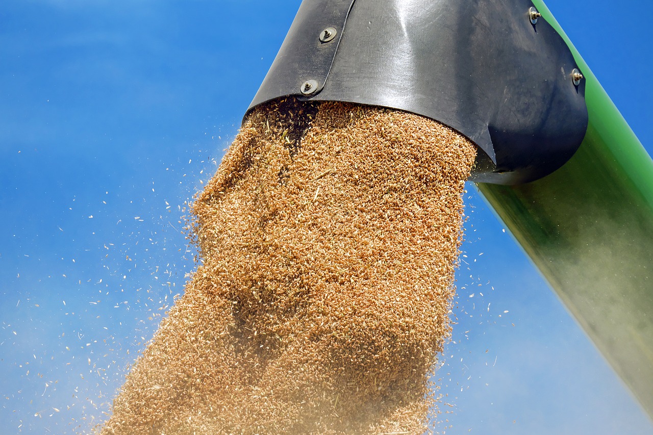 Казахстан, РФ и Иран подпишут на следующей неделе в Москве соглашение о поставках пшеницы в Иран