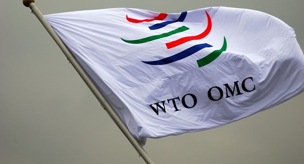 ЕАЭС намерена получить статус наблюдателя в ВТО