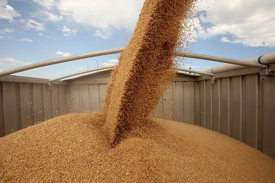 "КТЖ" перевезёт около 11 млн тонн зерна в 2018 году