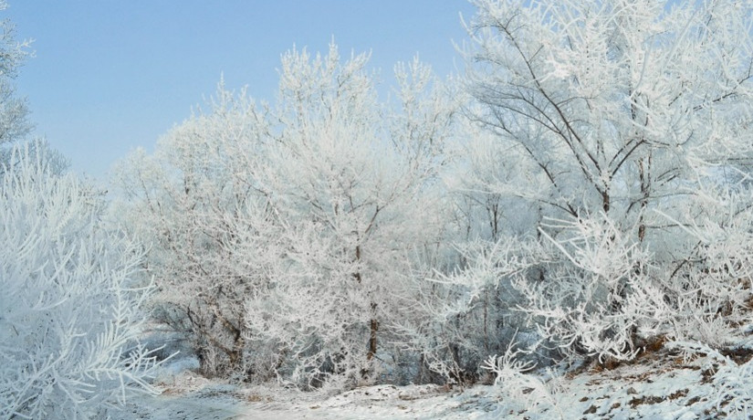 Морозная погода сохранится в ближайшие дни в Казахстане 
