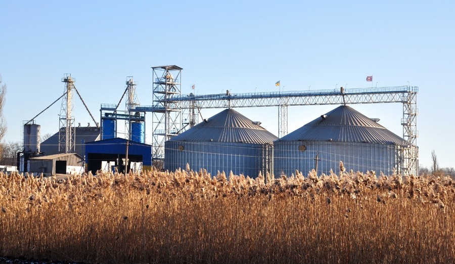 Казахстан планирует возобновить экспорт пшеницы в Египет