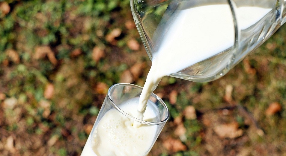 Казахстан оказался в тройке главных покупателей российского молока и молочной продукции