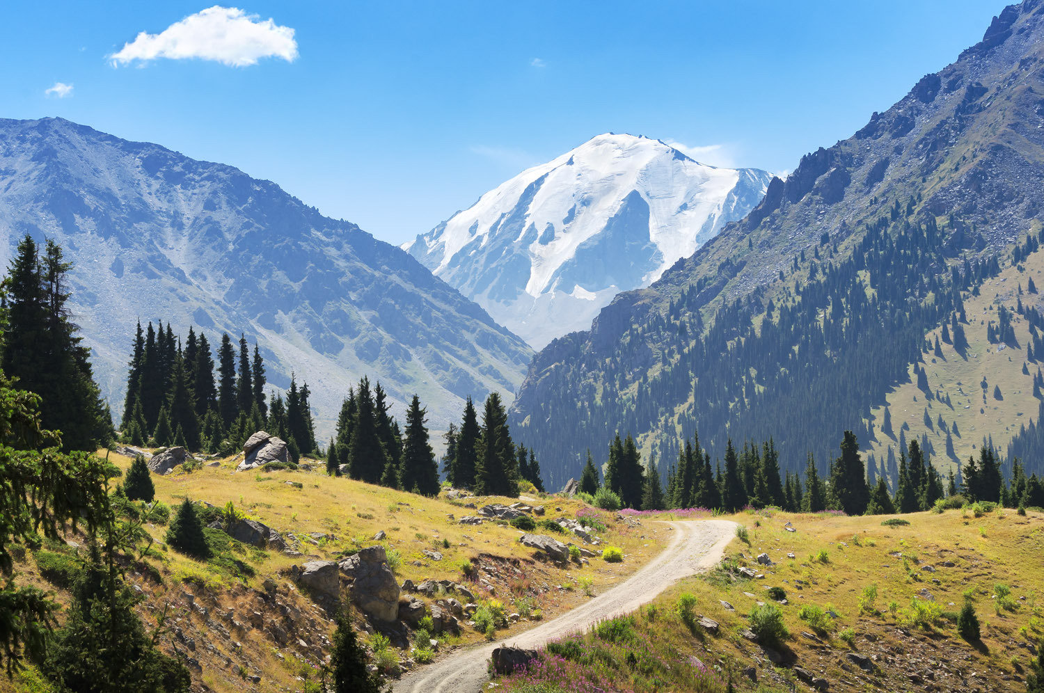 В алматинских горах установят хижины с "тревожными" кнопками  