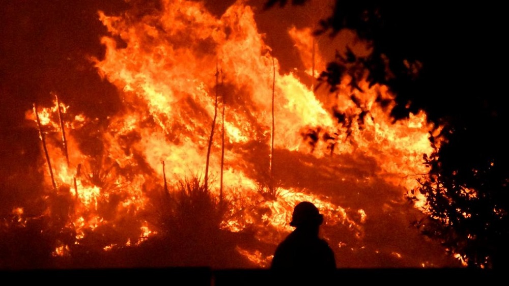 Крупный пожар тушат на базе отдыха в Акмолинской области