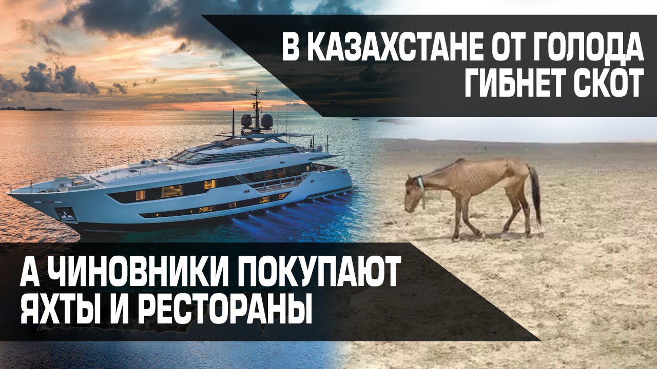 В Казахстане от голода гибнет скот, а чиновники покупают яхты и рестораны