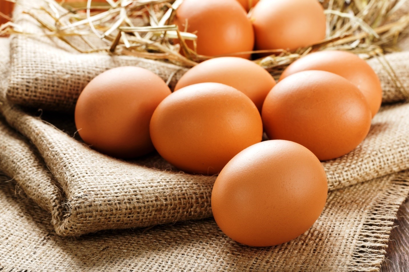 Яйца в РК подорожают к осени – прогноз