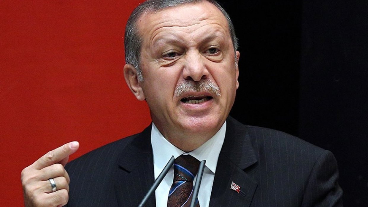 Эрдоган заявил, что Турция завершила подготовку к операции в Сирии