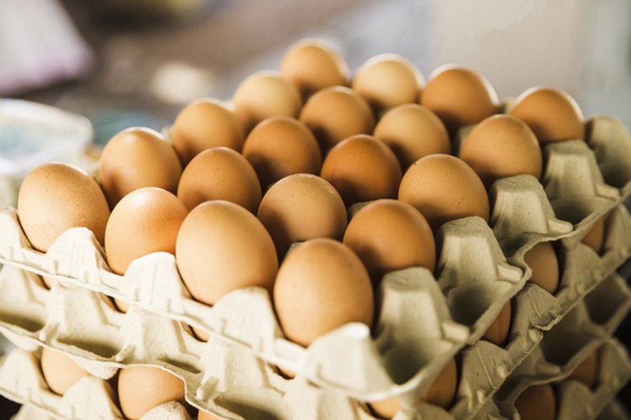 В Казахстане производители яиц просят открыть экспорт в Китай  