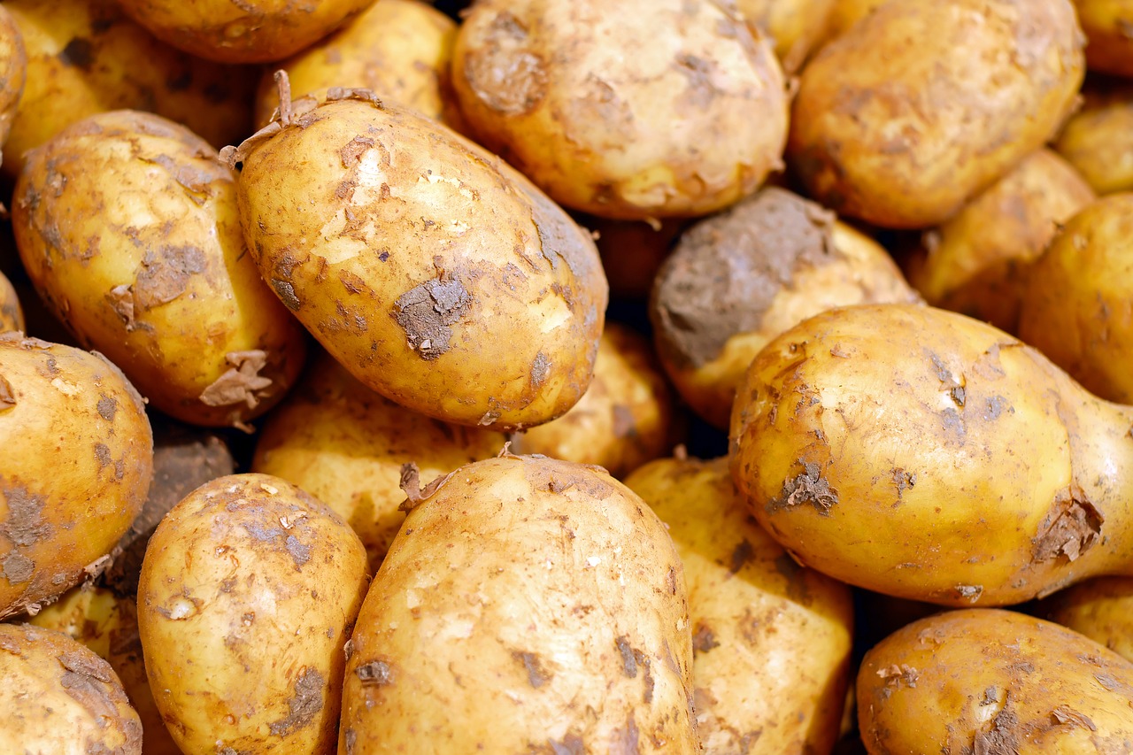 Россельхознадзор остановил поставки картофеля из Казахстана 