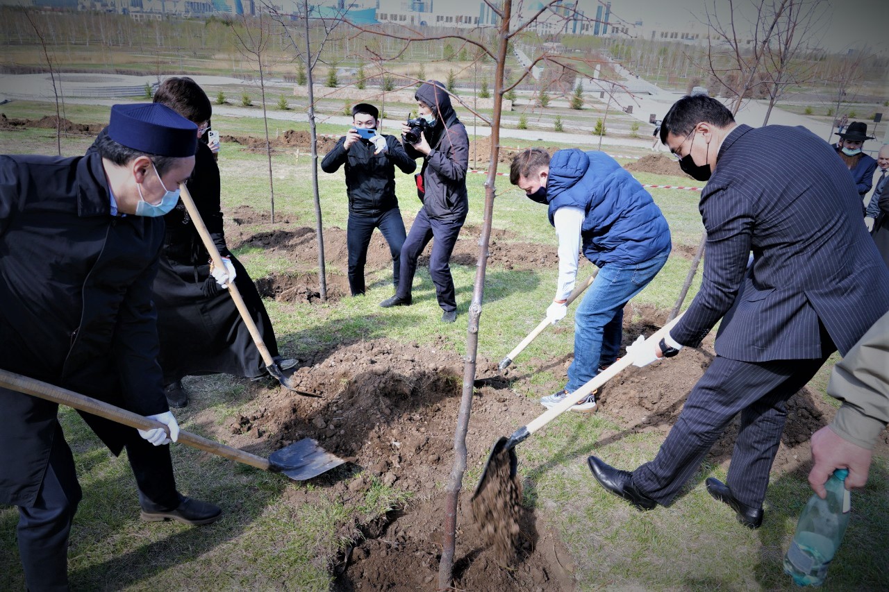 Представители духовенства и руководители религиозных объединений посадили деревья 
